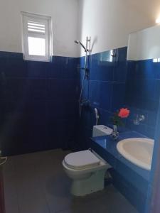 康提高台民宿的蓝色的浴室设有卫生间和水槽