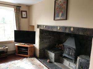 Llanafan-fawrPen y Crug Cottage的客厅设有壁炉和平面电视。
