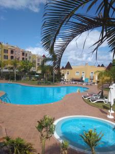 圣乌尔苏拉Acogedor Tenerife Norte的棕榈树和建筑的度假村游泳池