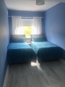 塔拉特Clarendon的蓝色客房的两张床,设有窗户