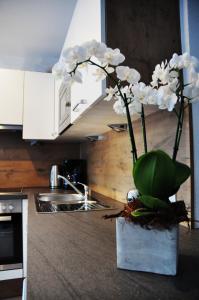 皮茨河谷阿兹尔Appartement Alpenzauber的厨房柜台上白色花瓶