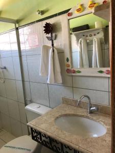 蒂拉登特斯Pouso Realeza的一间带水槽、卫生间和镜子的浴室