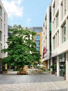 伦敦菲尔姆戴尔酒店集团汉姆庭院酒店的庭院中一棵树,庭院中建有建筑物