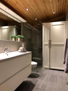 勒罗斯Svenskveien 23b的一间带水槽、淋浴和卫生间的浴室