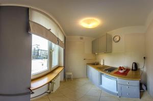 霍茹夫Batory Apartament的厨房配有柜台、水槽和窗户