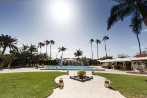 马斯帕洛马斯Magnificent Villa Piera的一个带游泳池和棕榈树的度假村