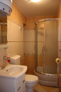 希贝尼克Old Town Apartment的带淋浴、卫生间和盥洗盆的浴室