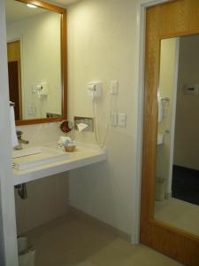瓜达拉哈拉瓜达拉哈拉博览会智选假日酒店的一间带水槽和镜子的浴室