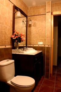 布尔戈斯Casa Rural Valle Esgueva的一间带卫生间、水槽和镜子的浴室