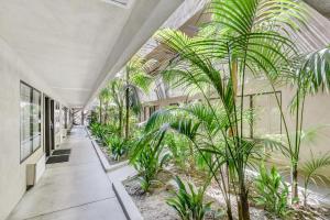 安纳海姆阿纳海姆沙漠旅馆及套房的一座种植了棕榈树的室内花园