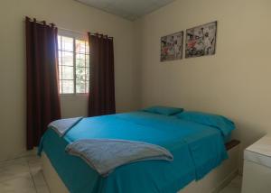 戴维Residencial El Viajero的一间卧室设有蓝色的床和窗户。