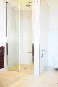 埃姆斯代滕X-Hotel的带淋浴的浴室,带玻璃门