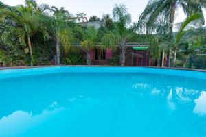 DesbassynsChez Seb & Klo的棕榈树屋前的游泳池