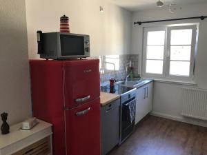 莱茵河畔威尔Ferienwohnung Haltingen的厨房配有红色冰箱,上面配有电视