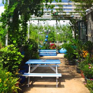 Huxi海岸线民宿 的花园里的两只蓝色长椅,种有植物