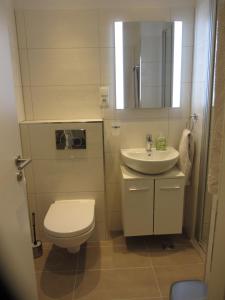 哈嫩克利博克斯维斯Appartement Ausblick的一间带卫生间和水槽的小浴室