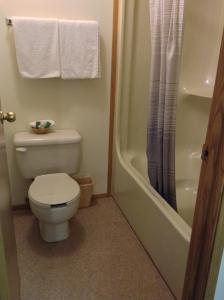 坎卢普斯坎卢普斯朗奇兰汽车旅馆的一间带卫生间和淋浴的浴室