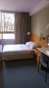 海法罗梅马马罗姆公寓的一间卧室配有一张床、一张书桌和一个窗户。