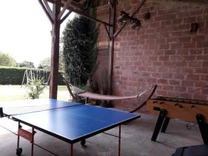 Sault-de-NavaillesGîte Yanou的乒乓球桌和乒乓球桌