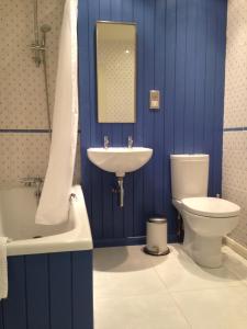 塞顿港The Store, harbour holiday cottage的蓝色的浴室设有水槽和卫生间