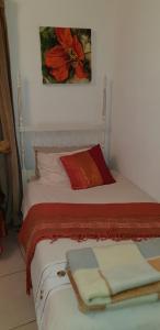 比勒陀利亚科伦维德精品旅馆的一张带红色和白色枕头的床和绘画
