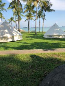 新加坡Glamping Kaki - Medium Bell Tent的相册照片