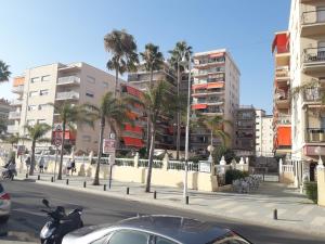 阿尔姆尼卡Apartamento Amapola的一条拥有棕榈树和建筑的城市街道