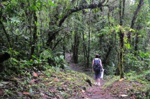 入住Arenal Observatory Lodge & Trails的客人