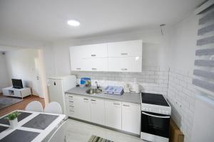 萨拉热窝Lovely House Apartment的白色的厨房配有水槽和冰箱