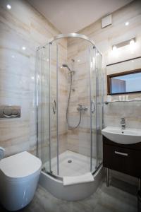斯维诺乌伊希切Villa Baltica的带淋浴、卫生间和盥洗盆的浴室
