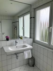 莱因费尔登-埃希特尔丁根埃姆帕克酒店的白色的浴室设有水槽和窗户。