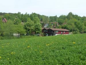 RonshausenSweet Home的一片绿草丛,有房子在后面