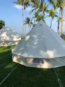 新加坡Glamping Kaki - Large Bell Tent的棕榈树草上的白色帐篷