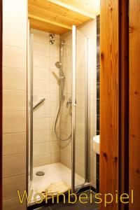 费斯恩卡瑟尔全景酒店的浴室里设有玻璃门淋浴