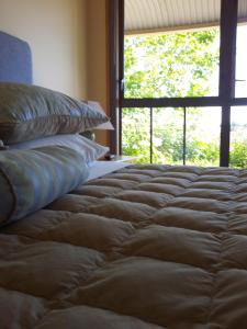亚历山德拉Hawkdun Rise Vineyard & Accommodation的窗户间内的一张带枕头的床