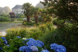 Le Châtellier弗尔蒂埃尔城堡酒店的一座花园,在房子前面种着蓝色的花朵
