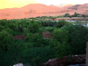 阿伊特本哈杜Dar Bilal的享有树木和山脉的田野景色