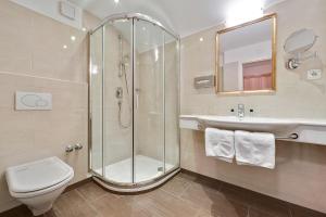 萨尔察赫河畔戈灵豪斯福酒店的带淋浴、卫生间和盥洗盆的浴室