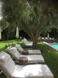 阿加迪尔里亚德斯高尔夫球酒店的一组白色躺椅,位于游泳池旁