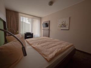 安德纳赫莱茵河畔别墅酒店的配有一张床和一把椅子的酒店客房