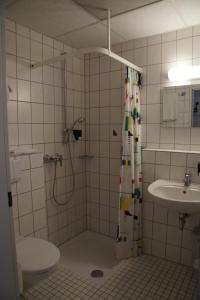 格林贝格杰克斯伯格塞米那酒店的带淋浴、卫生间和盥洗盆的浴室