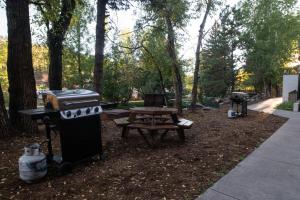 埃斯蒂斯帕克银月亮旅馆的公园内的烧烤和野餐桌