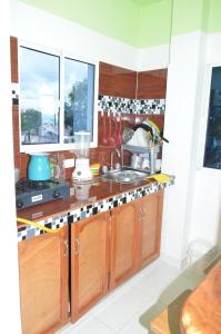 托卢Apartamento Tolu的厨房配有水槽和台面