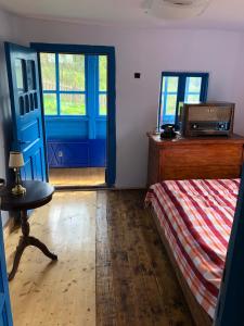 百乐·奥拉内斯蒂Casa Albastră的一间卧室配有一张床和一个蓝色的门