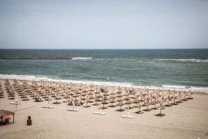 康斯坦察梅加罗斯酒店的海滩上的一把遮阳伞和椅子