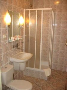 沃尔什滕考卡斯酒店的带淋浴、卫生间和盥洗盆的浴室