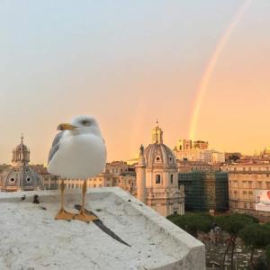 罗马Ripesbb Bnb In Rome的海 ⁇ ,站在一座有彩虹的建筑的顶端