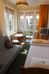 乔尔什滕Willa Jasna的客房设有两张床、一台电视和窗户。