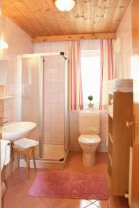 弗拉绍Ferienhaus Steger Maria的带淋浴、卫生间和盥洗盆的浴室