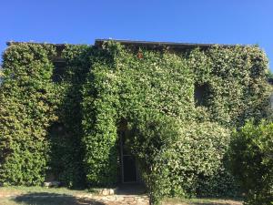 马尔夏诺拉弗拉塔艺术酒店 - 住宅的一座被绿色常春藤覆盖的建筑,有门